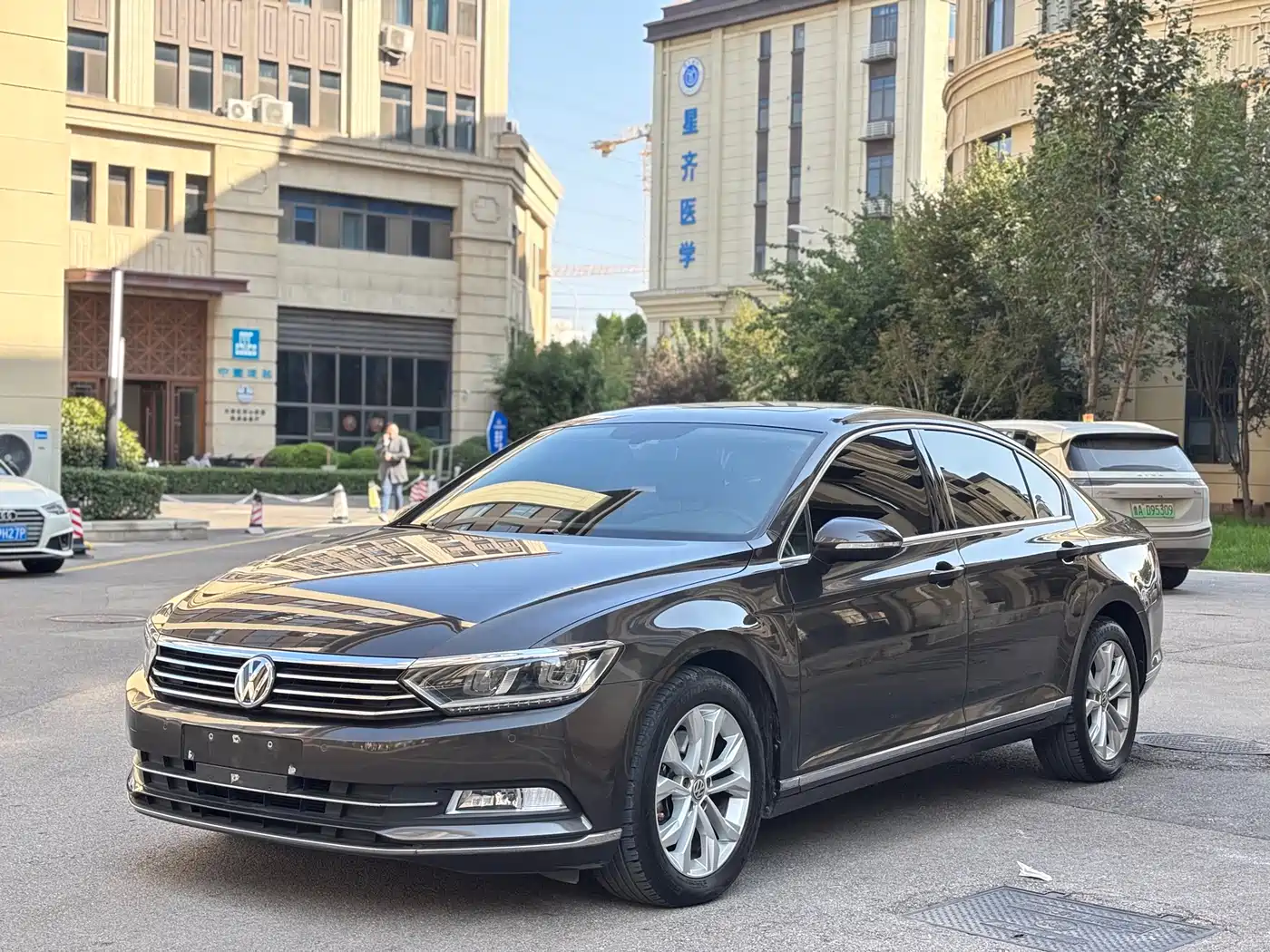 Volkswagen Magotan 2017 330TSI DSG Luxury