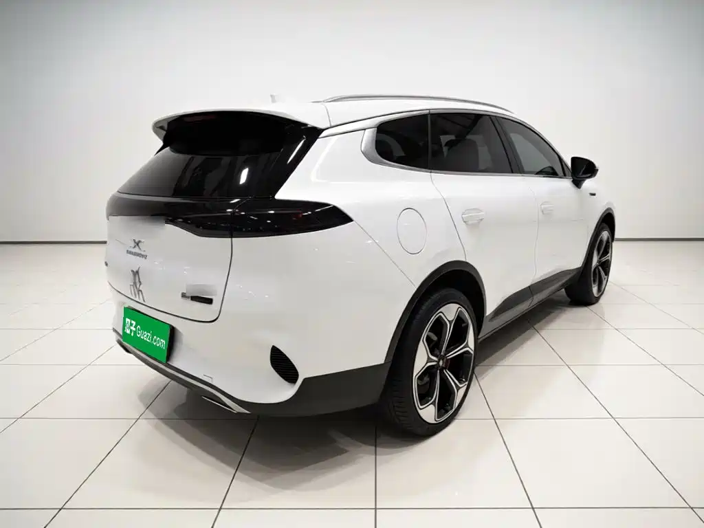 Denza X 2021 2020 Model PHEV Flagship Edition