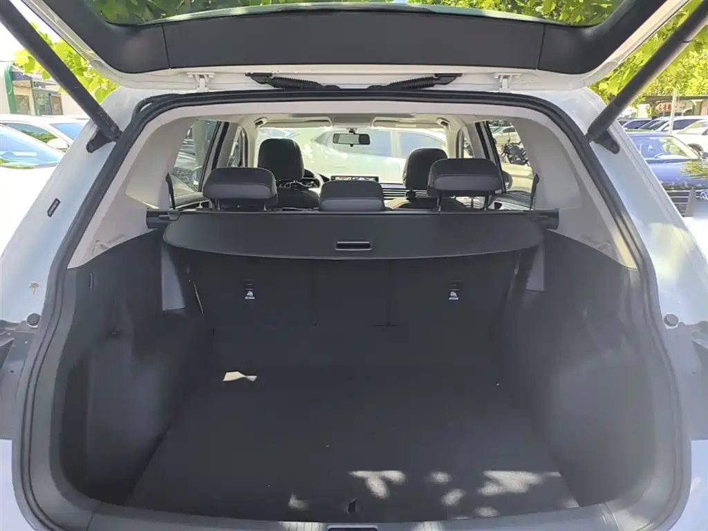 Volkswagen Tiguan L 2024 Outstanding 300TSI Auto 2WD Dragon Soaring Edition фото 19