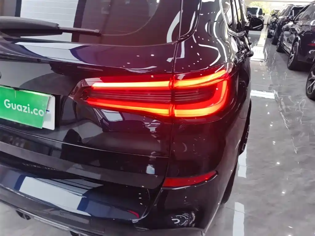 BMW X5 2022 Facelift xDrive 30Li Premium M Sport Package фото 8