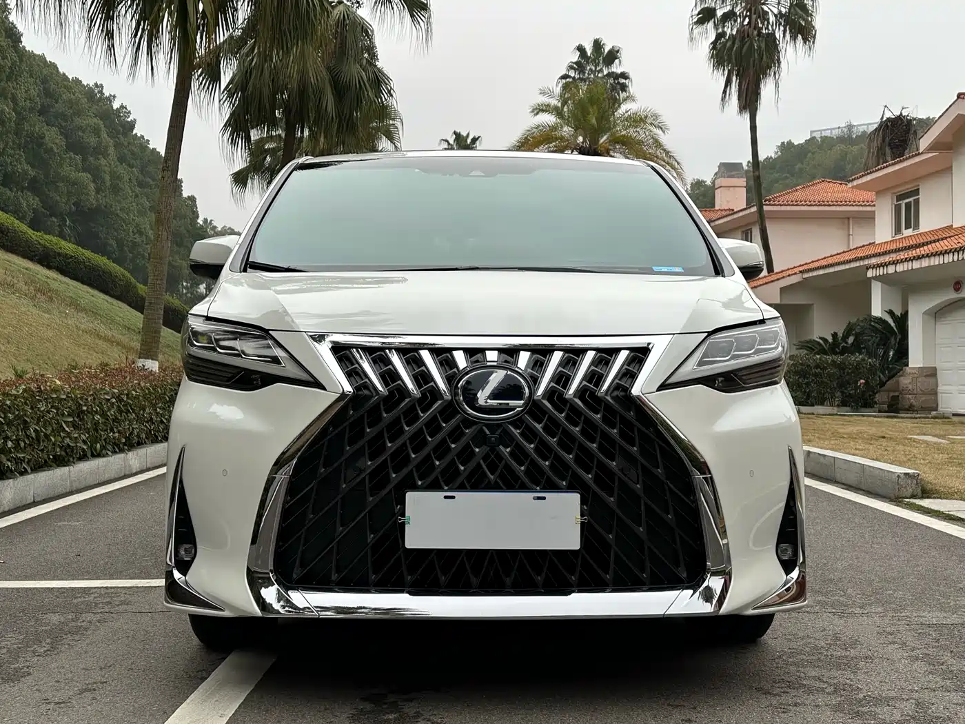Lexus LM 2020 300h Seven-Seater Elegance Edition фото 2