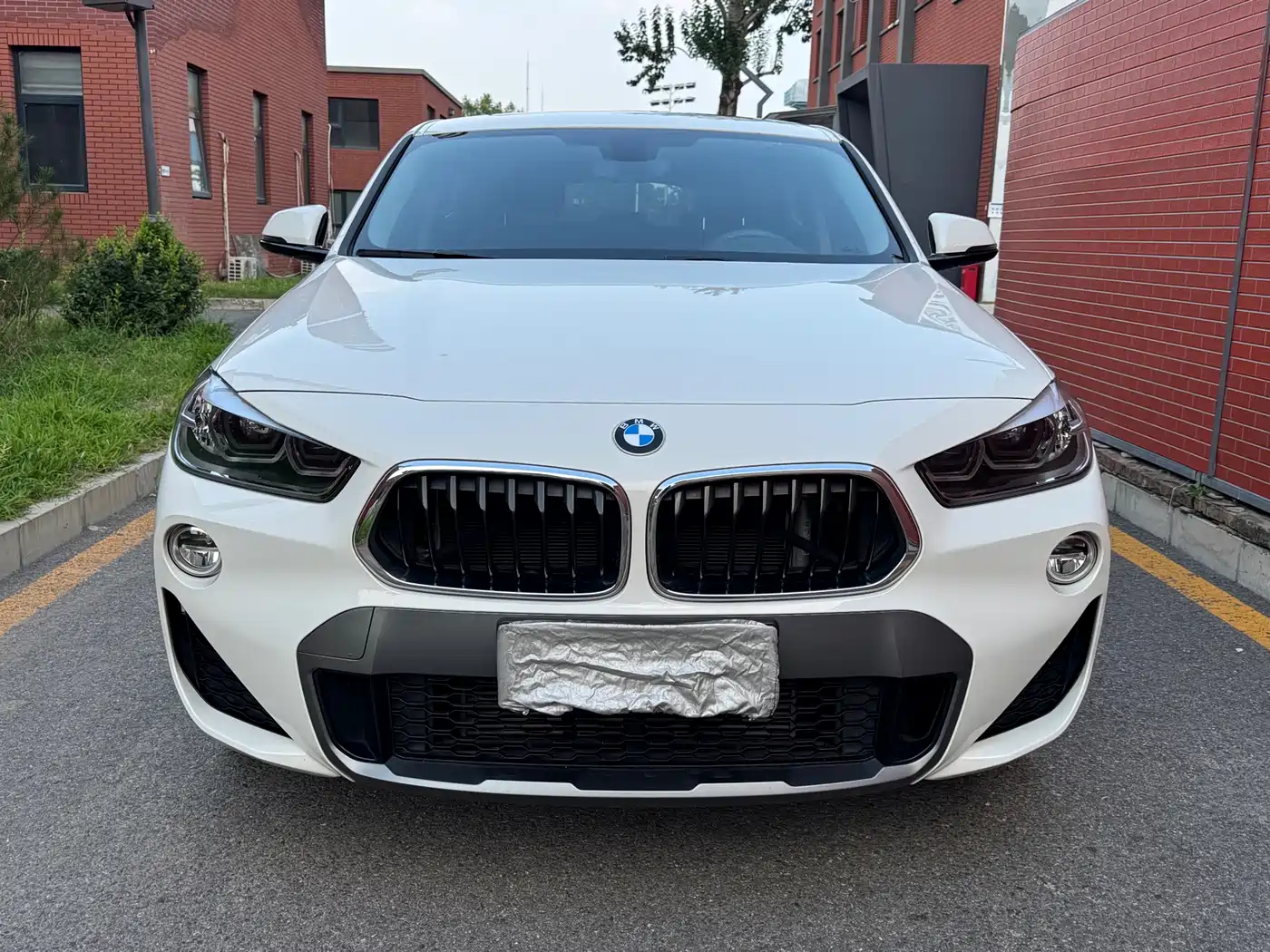 BMW X2 (Import) 2019 2019 sDrive25i Leading M Off-Road Package China VI