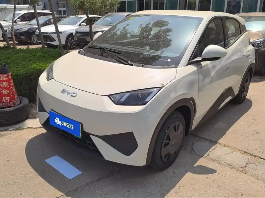 BYD Seagull 2025 Smart Drive Edition 305km Vitality Version
