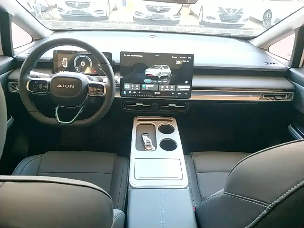 Aion Y 2025 2024 Plus 510 Smart Driving Edition