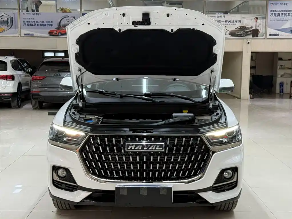 Haval H6 2023 National Trend Edition 1.5T Automatic Urban фото 7