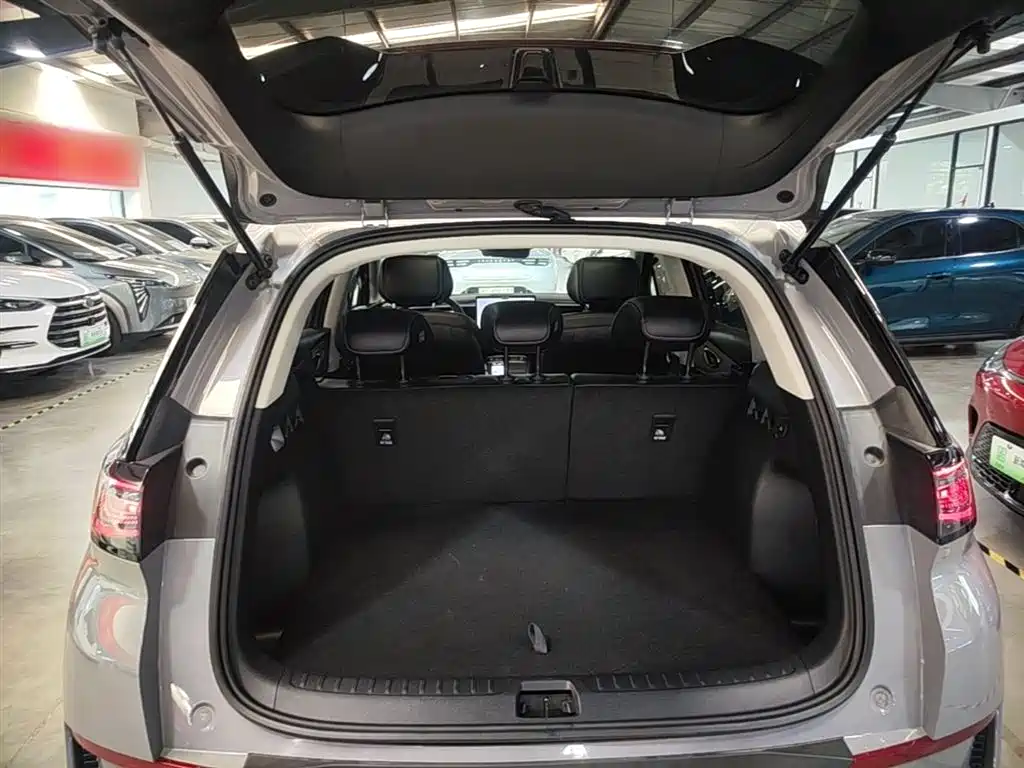 BYD Hai Shi 05 EV 2025 520KM Smart Navigation Edition фото 19