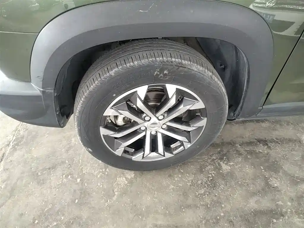 Haval Big Dog 2021 1.5T DCT 2WD Border Collie Edition фото 23