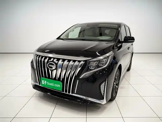 Trumpchi M8 Elegance Series, 390T, Люкс