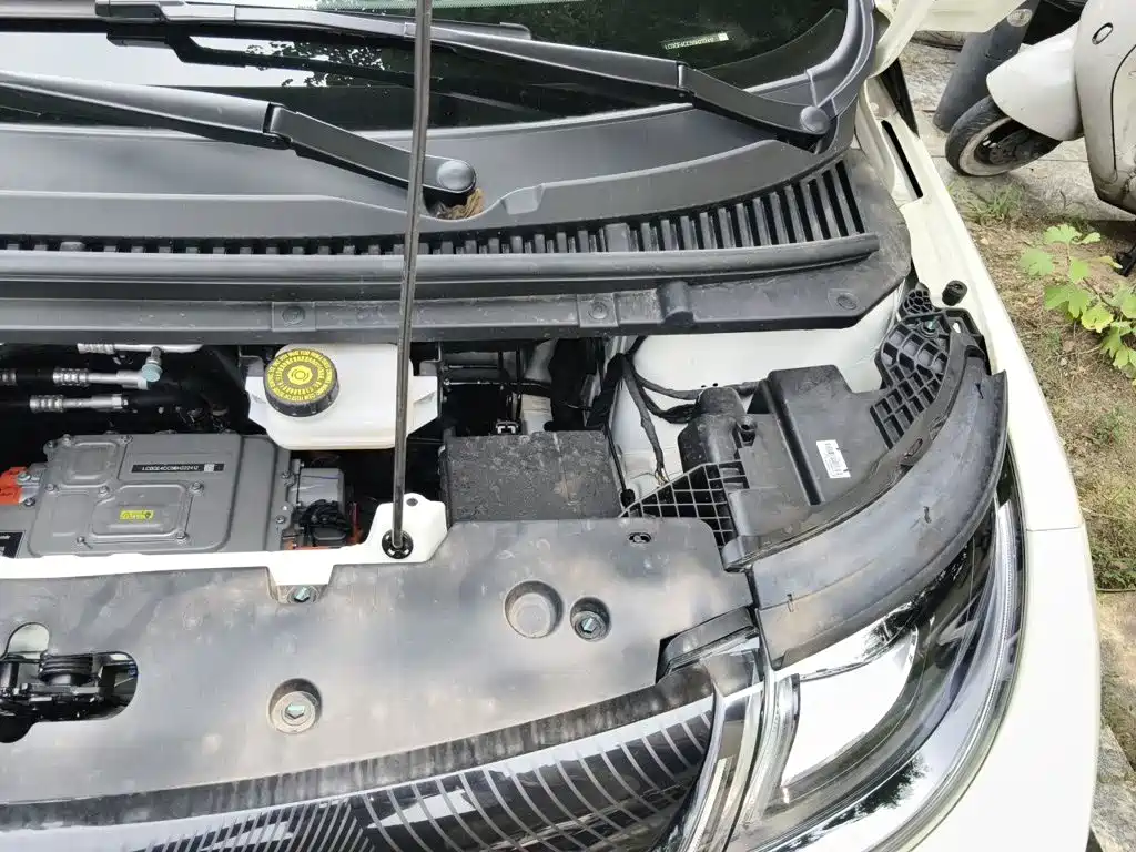 BYD Dolphin 2026 2025 420km Freedom Edition