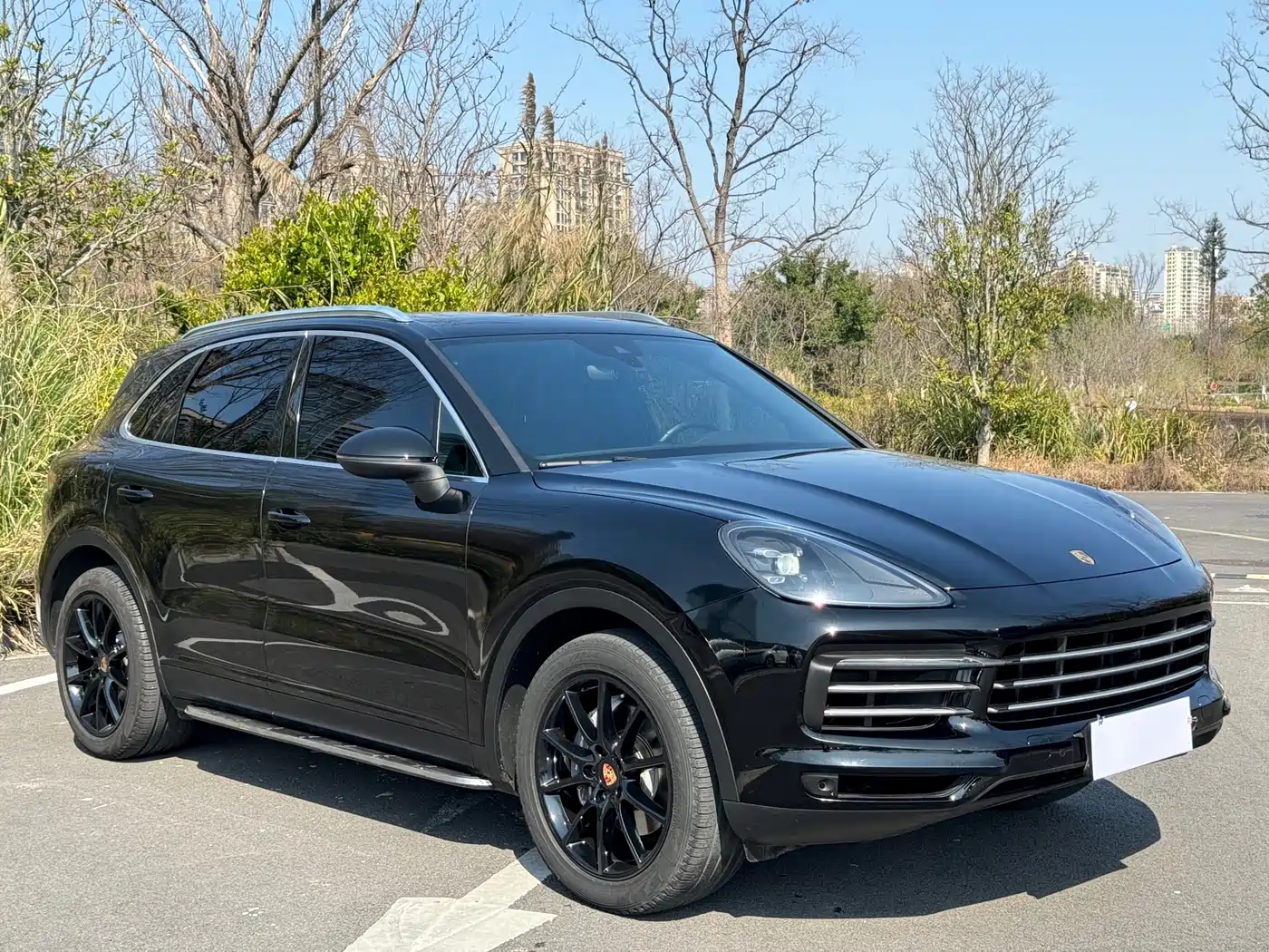 Porsche Cayenne 2019 Cayenne 3.0T фото 3