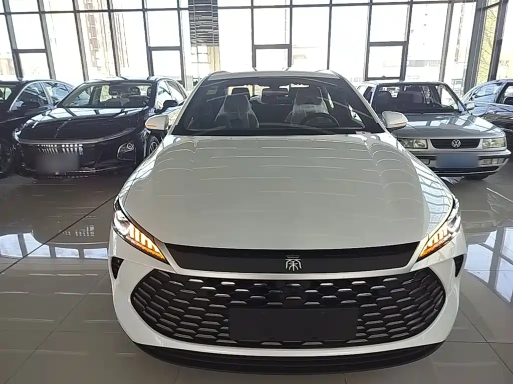 BYD Qin PLUS 2025 DM-i Smart Drive 55KM Leader фото 3