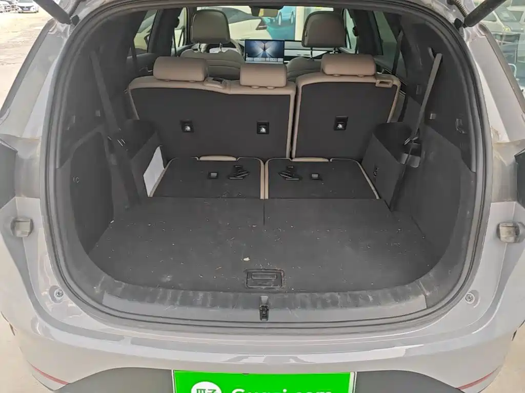 BYD Tang New Energy 2025 2025 Smart Driving Edition DM-i 115KM Flagship