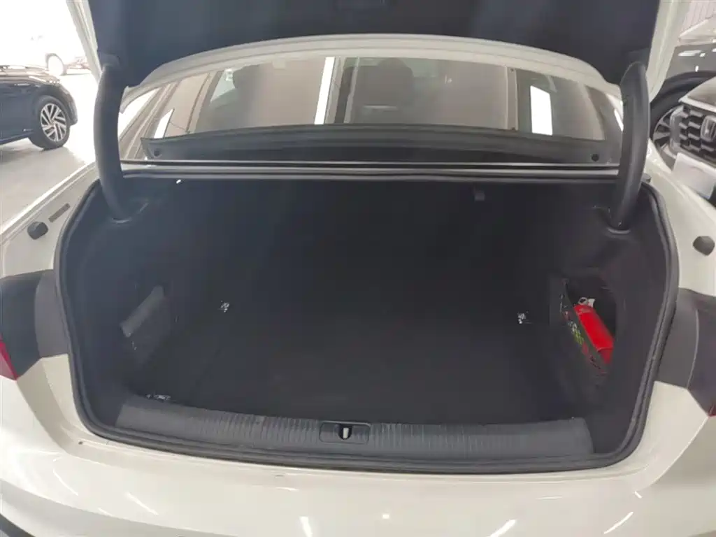 Audi A4L 2020 40 TFSI Luxury Dynamic фото 19