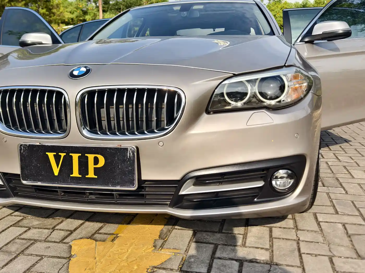 BMW 5 Series 2017 520Li Classic Edition фото 22