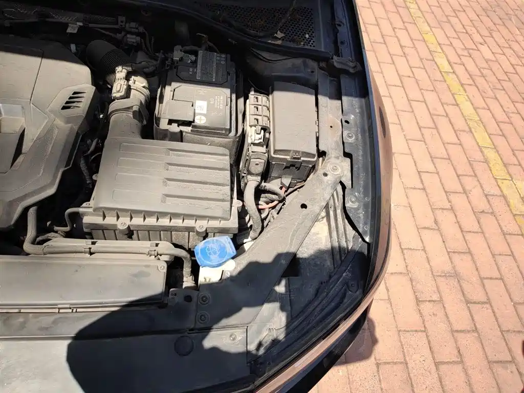 Volkswagen Magotan 2020 330TSI DSG Luxury фото 22