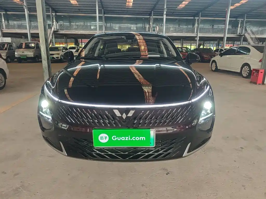 Wuling Motors Wuling Xingguang 2024 2023 70 Standard Edition