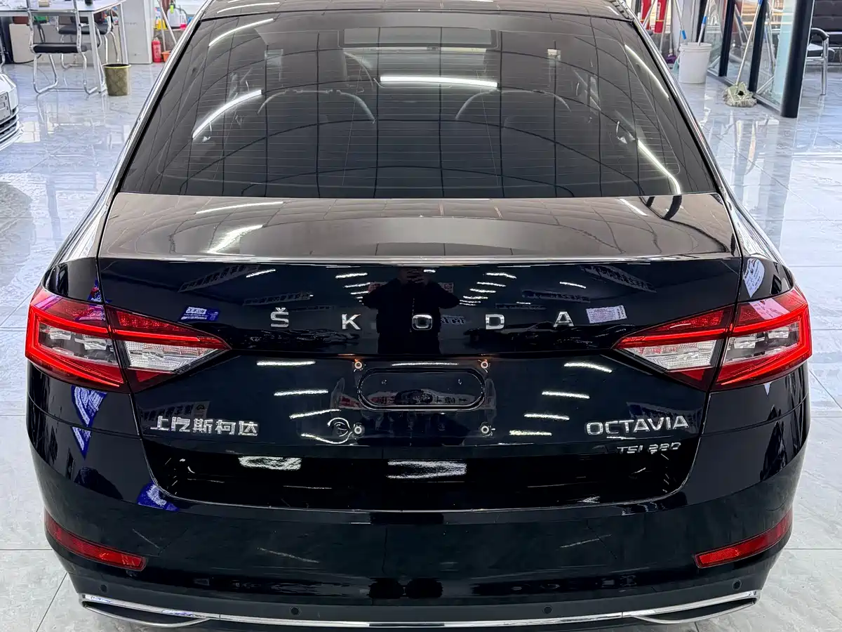 Škoda Octavia 2019 TSI280 DSG Smart Drive Luxury Edition China VI фото 11