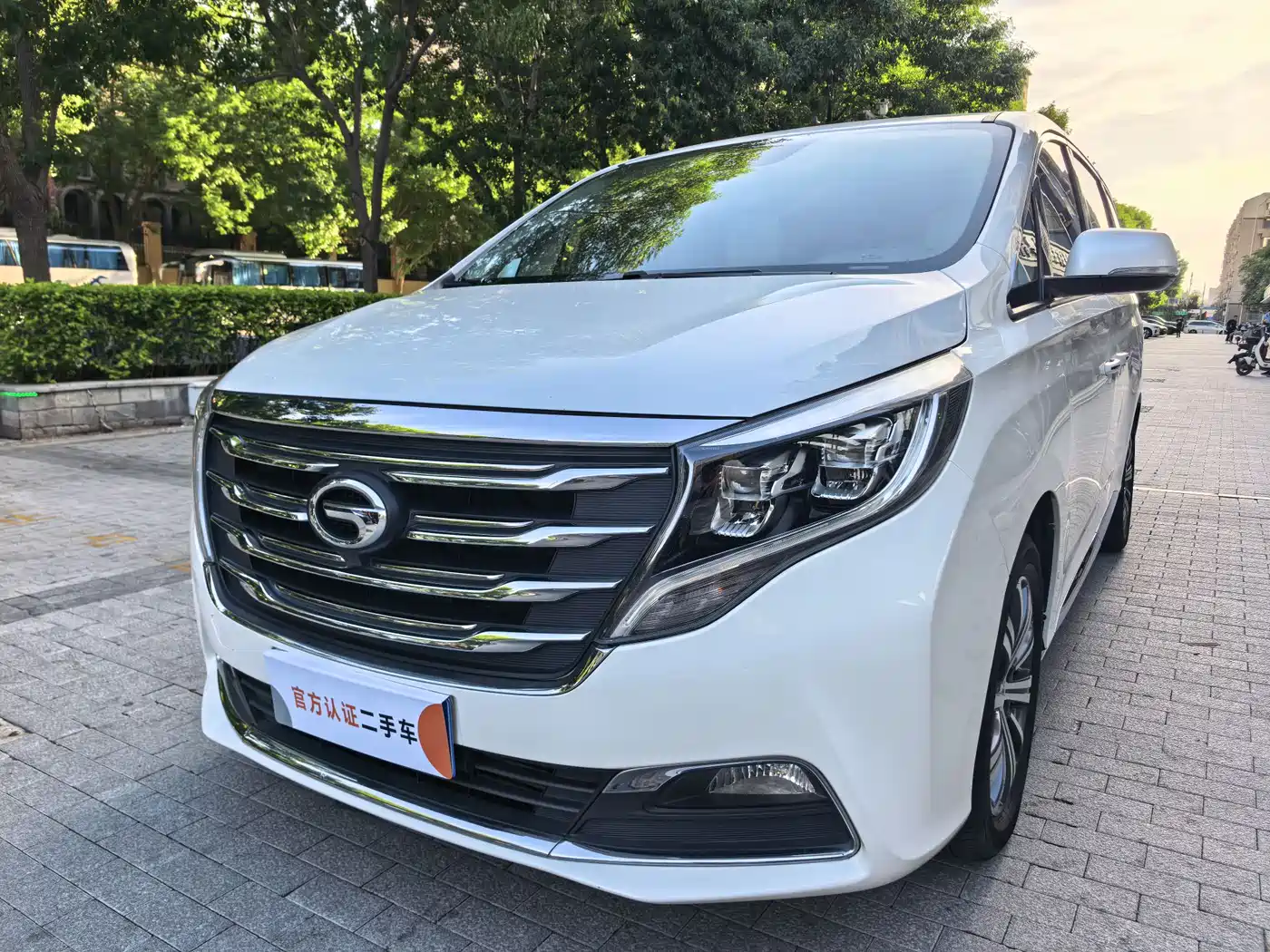 GAC Trumpchi Trumpchi M8 2018 320T Premium Edition фото 4