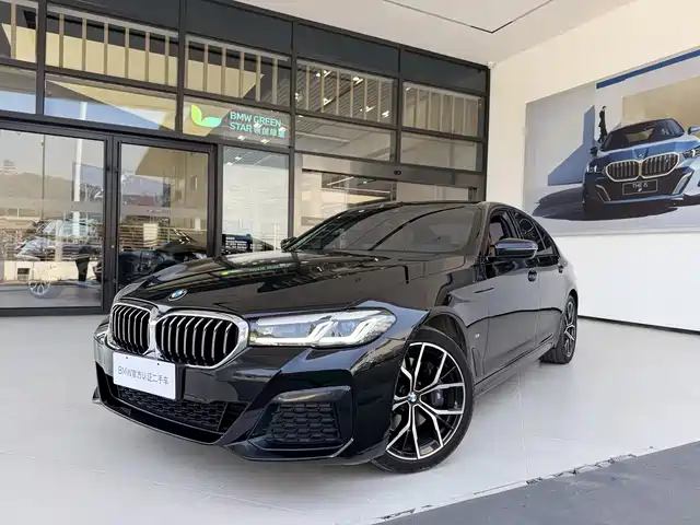 BMW 5 SERIES