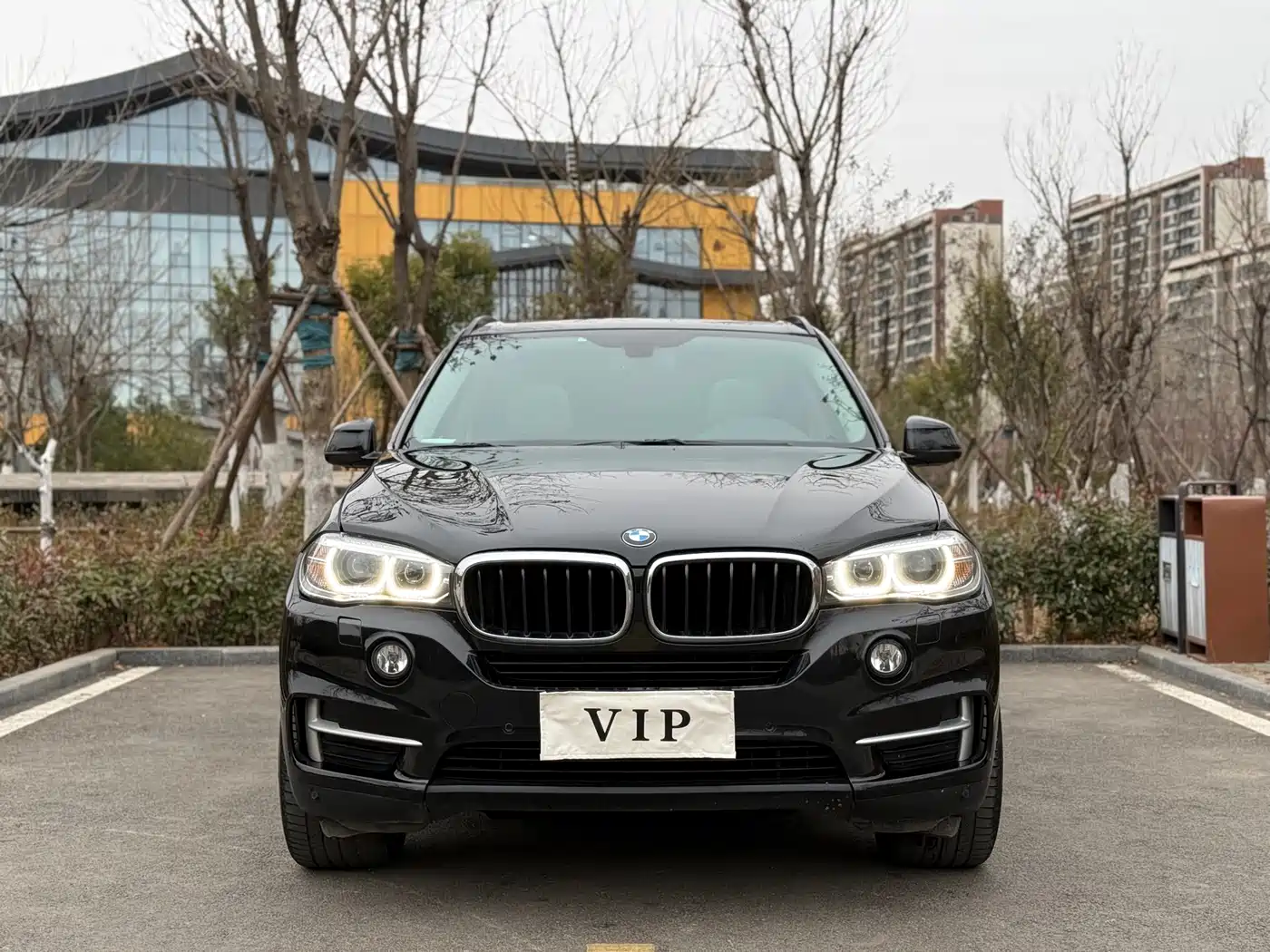 BMW X5 (Import) 2014 xDrive35i Leading фото 2