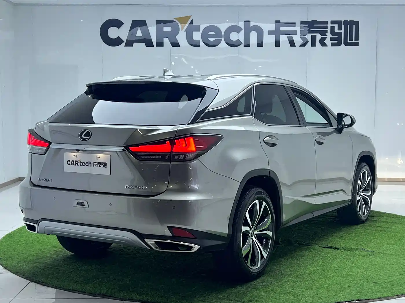 Lexus RX 2021 300 AWD Special Edition фото 8