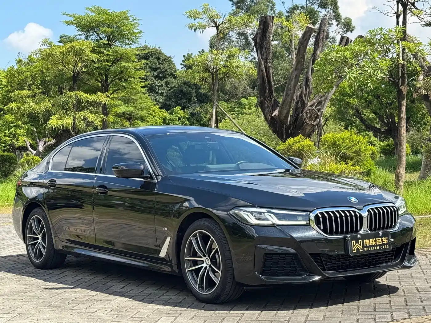 BMW 5 Series 2022 Facelift 525Li M Sport Package фото 3