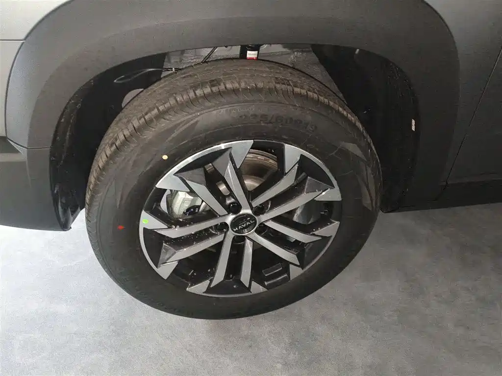 Haval Big Dog 2026 Model 1.5T High Configuration фото 25