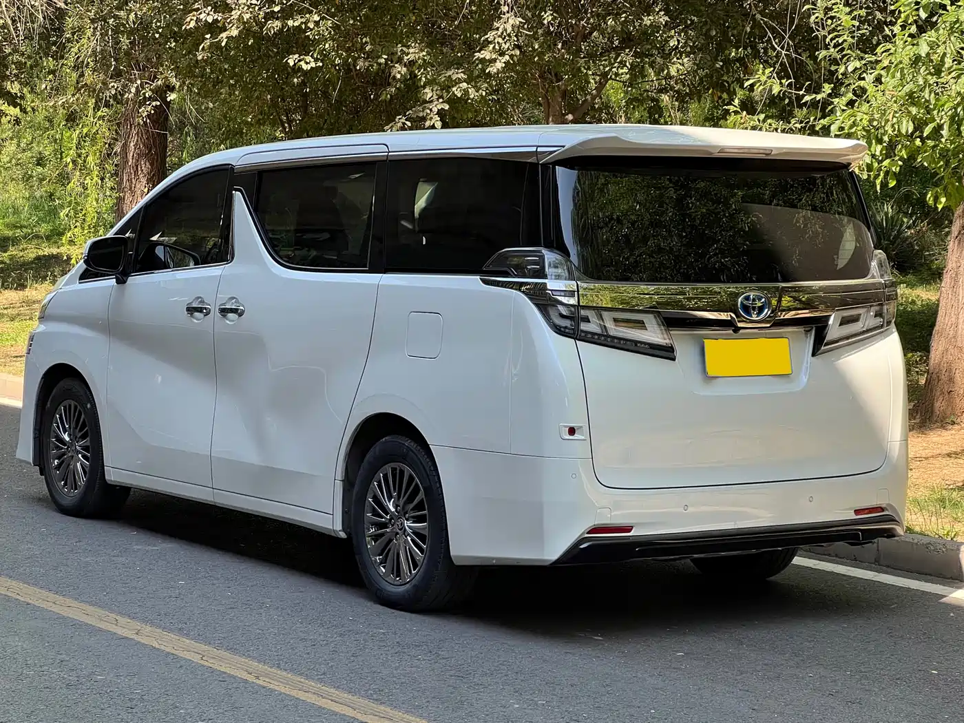 Toyota Vellfire 2019 Hybrid 2.5L HV Luxury Edition фото 17