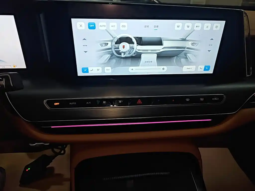 Hongqi H9 2025 2024 2.0T Qi Enjoy Private Fashion Edition