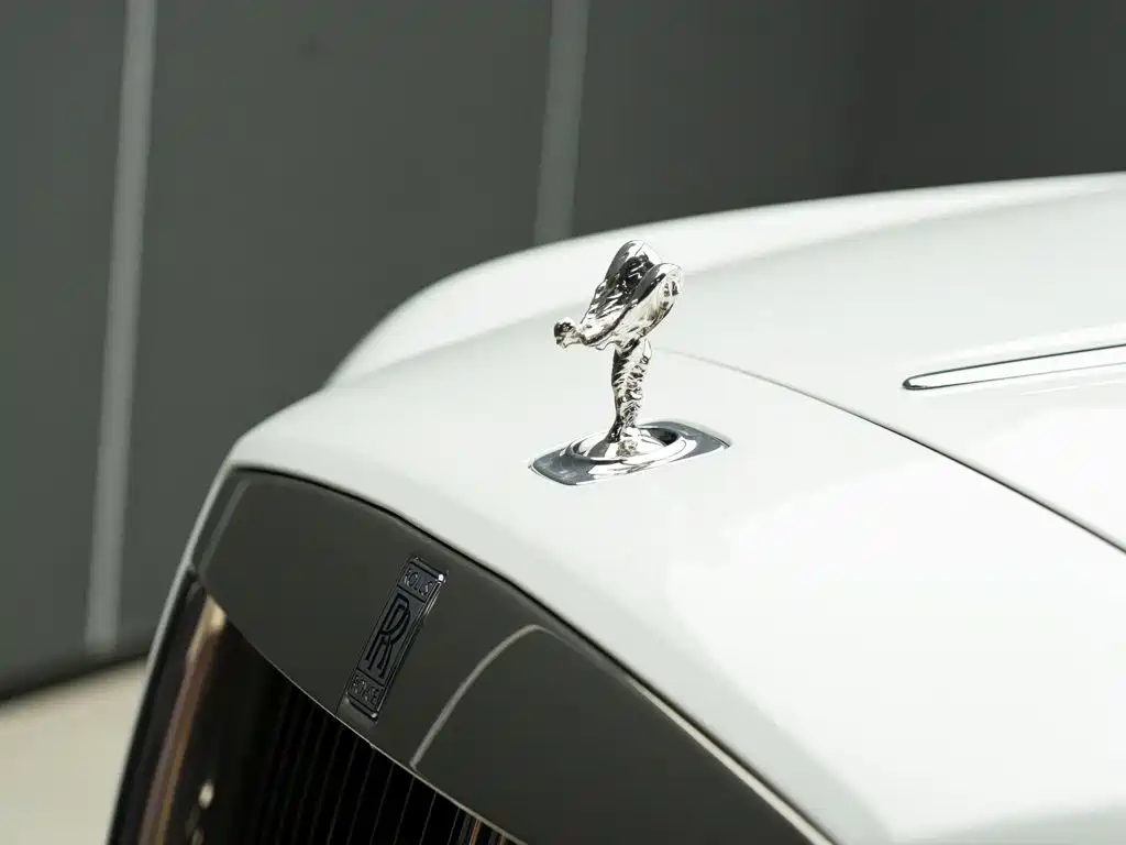 Фото 4 - Rolls-Royce Wraith