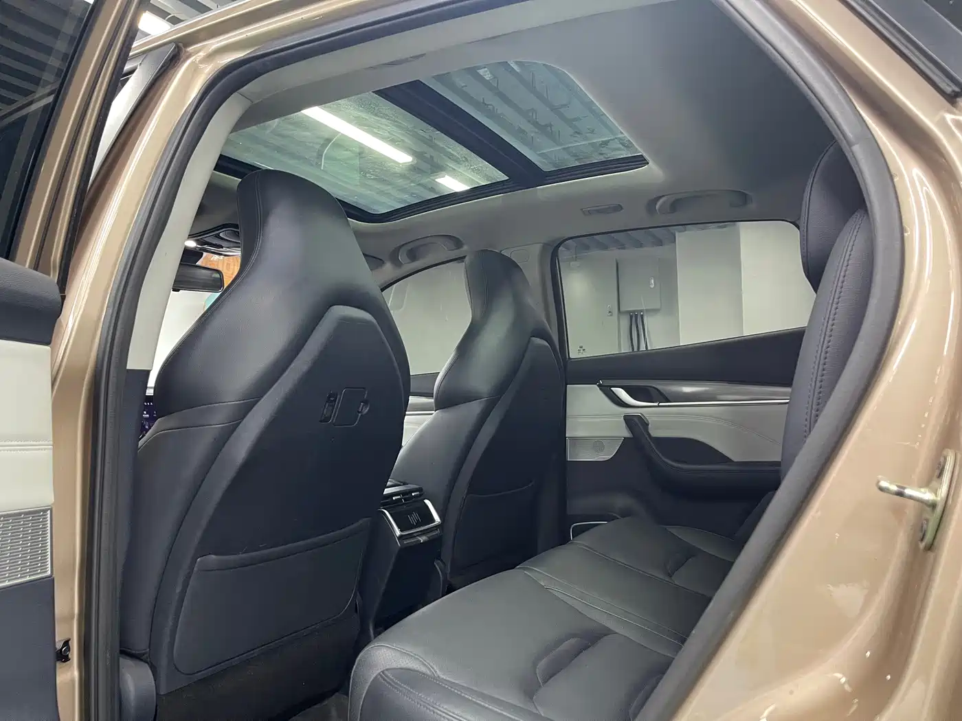 Weltmeister EX5 2020 2019 EX5 Lite Explorer Edition 520