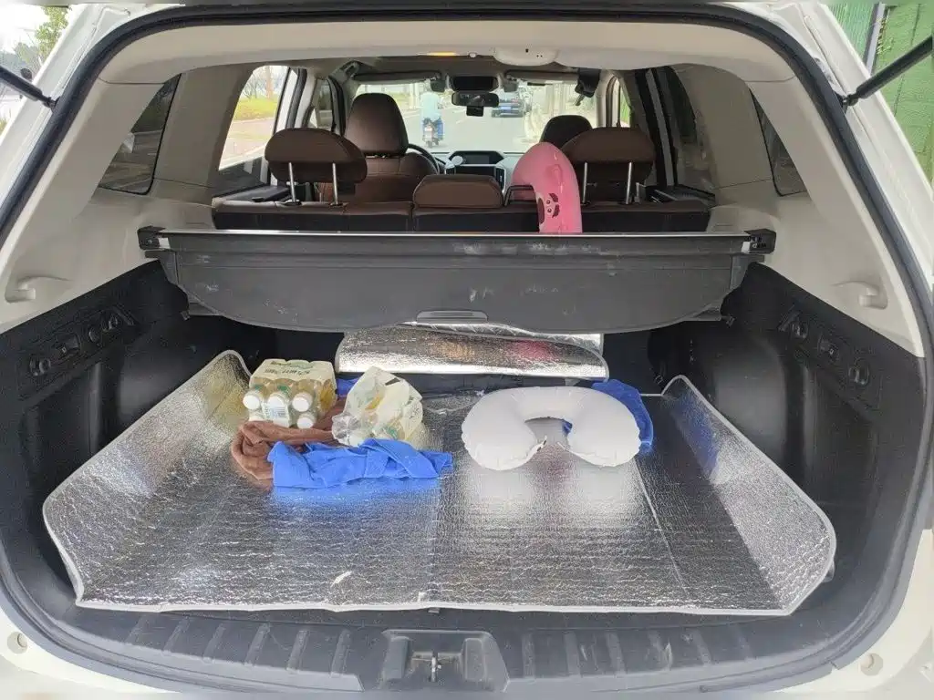 صورة 20 - Subaru Forester