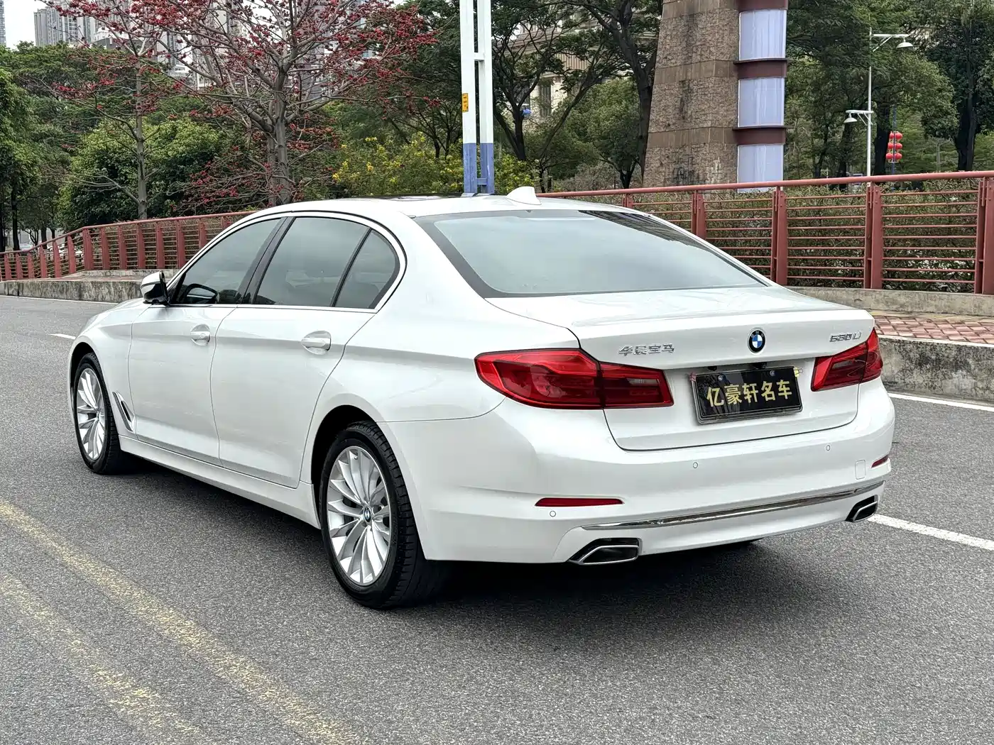 BMW 5 Series 2019 530Li Leading Luxury Package фото 7