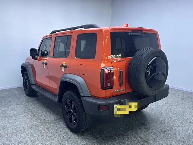 Tank 300 2021 2021 Off-road Edition 2.0T Challenger