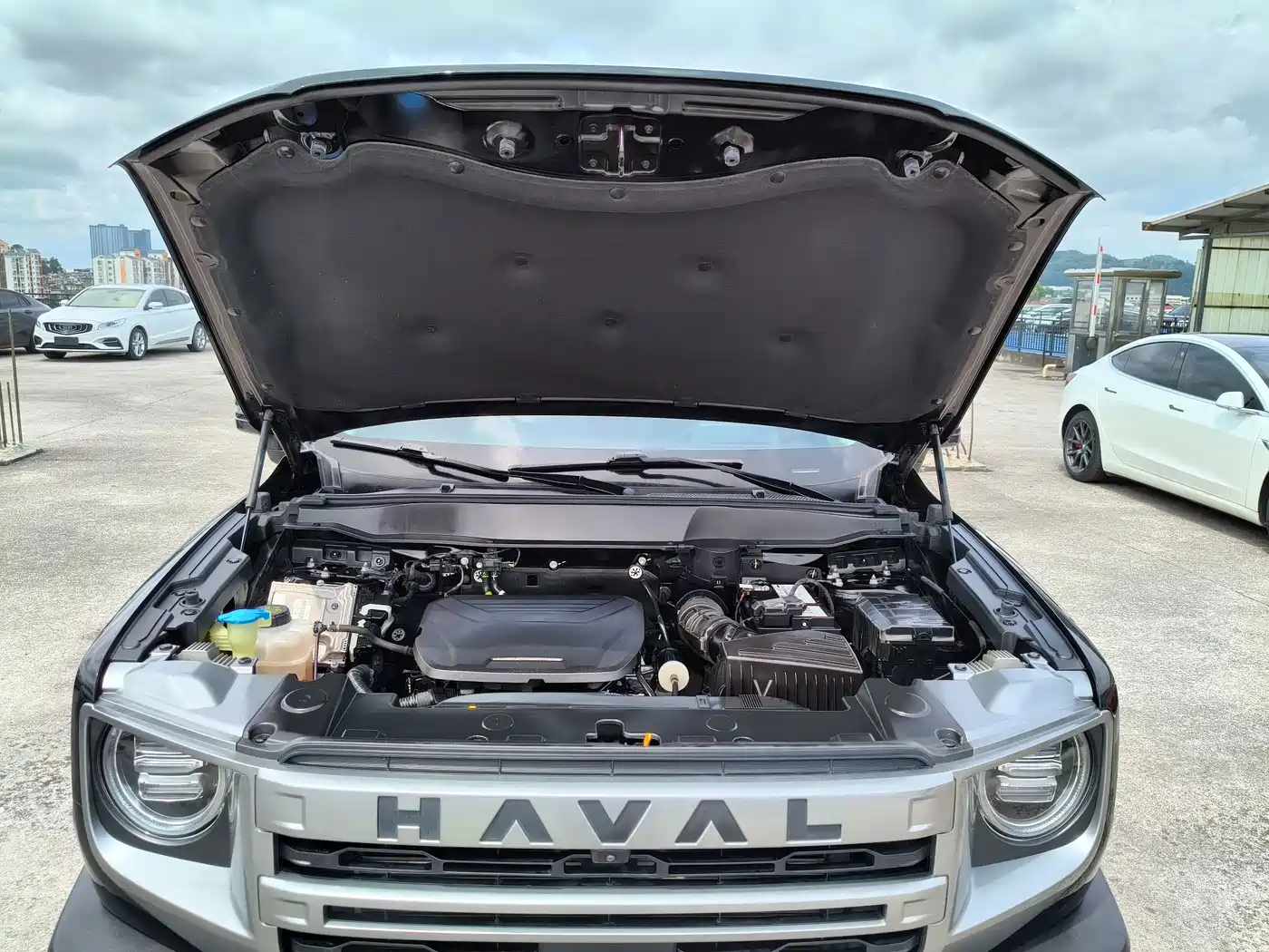 Photo 27 - Haval Big Dog