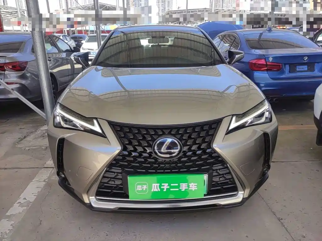 2021 Lexus UX Electric
