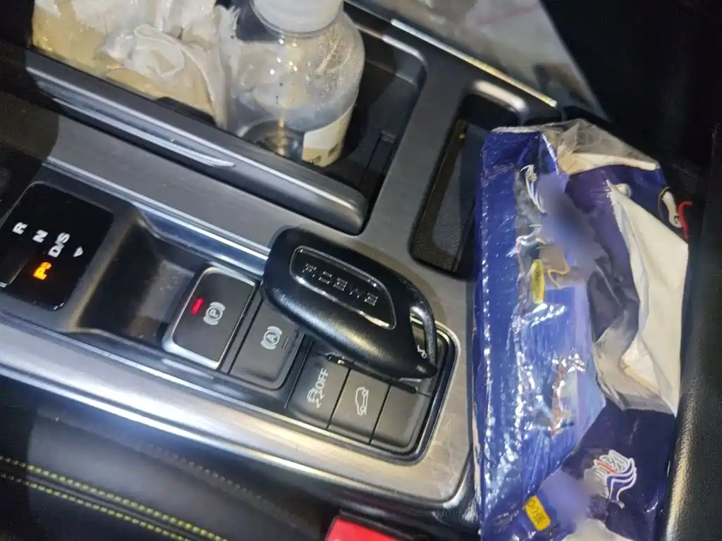 Фото 12 - Roewe RX5