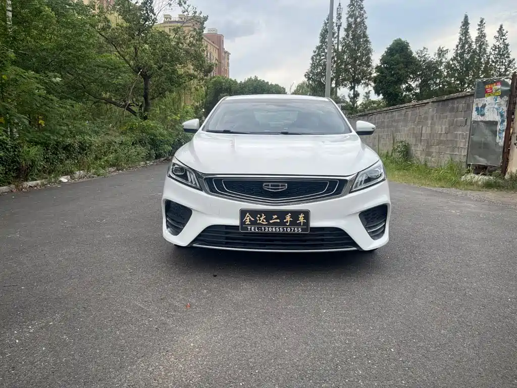Фото 2 - Geely Binrui