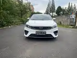 Фото 2 - Geely Binrui