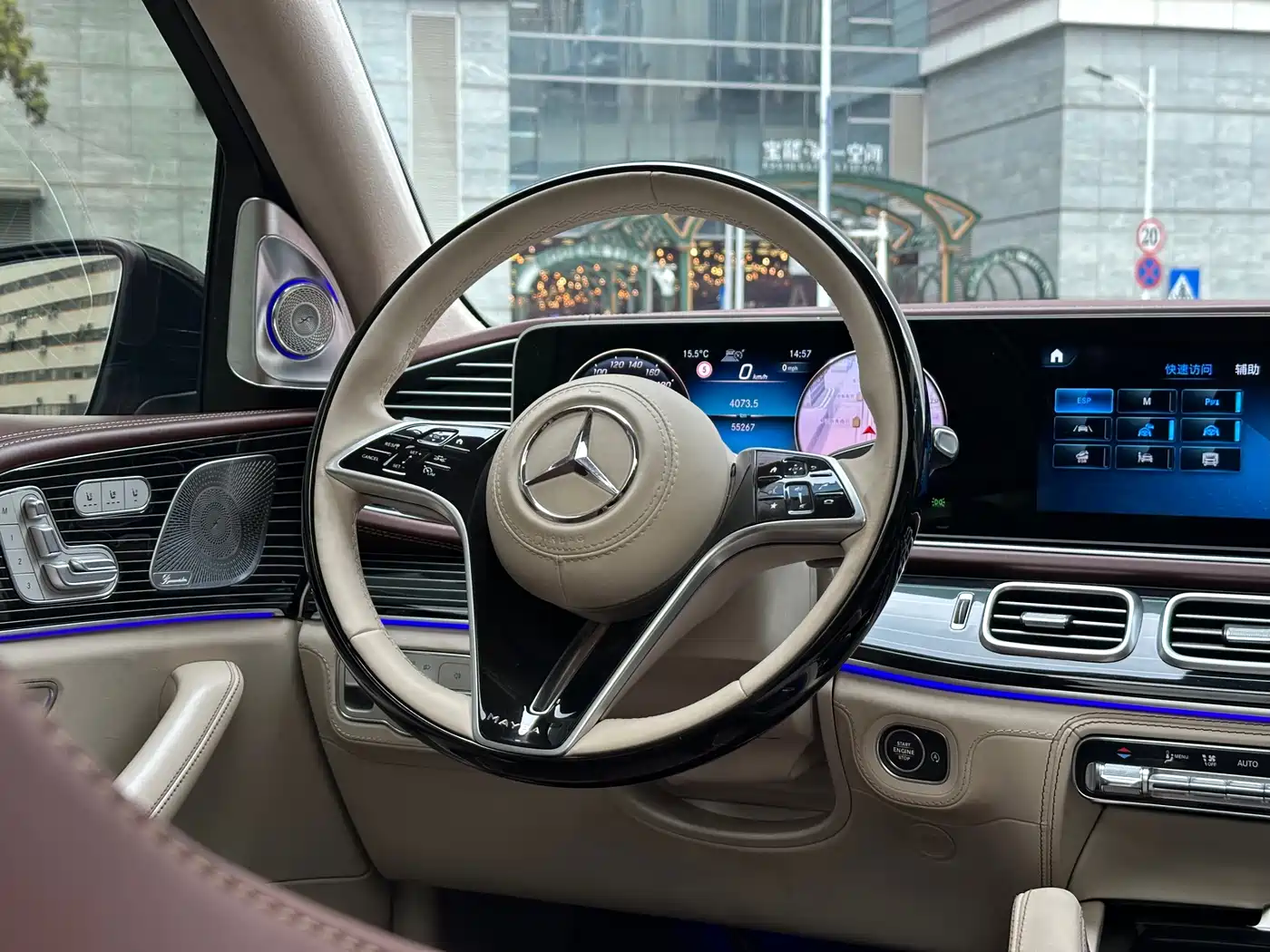 Mercedes-Benz Maybach GLS 2022 GLS 480 4MATIC фото 11
