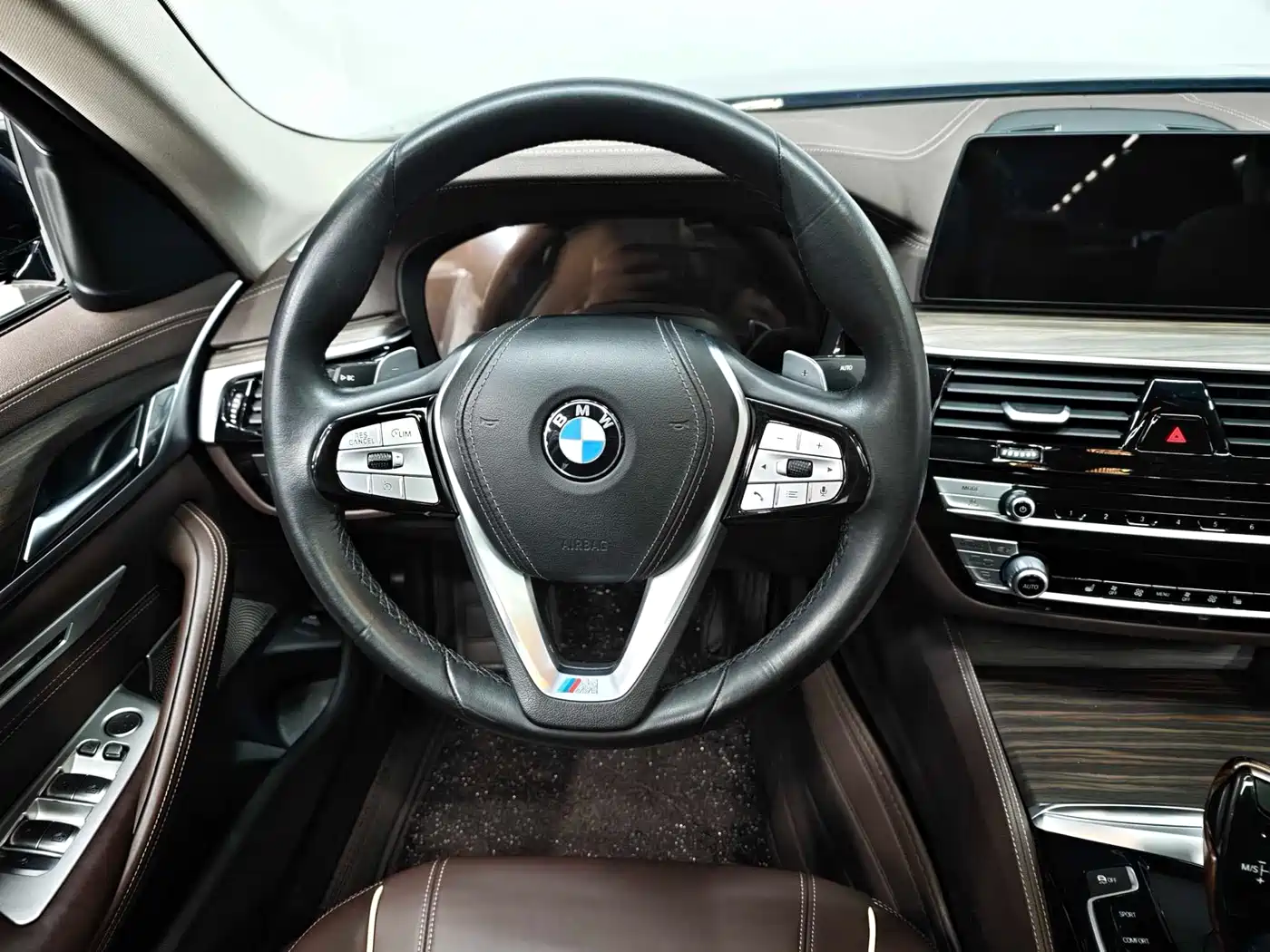 BMW 5 Series 2020 530Li xDrive Luxury Package фото 11