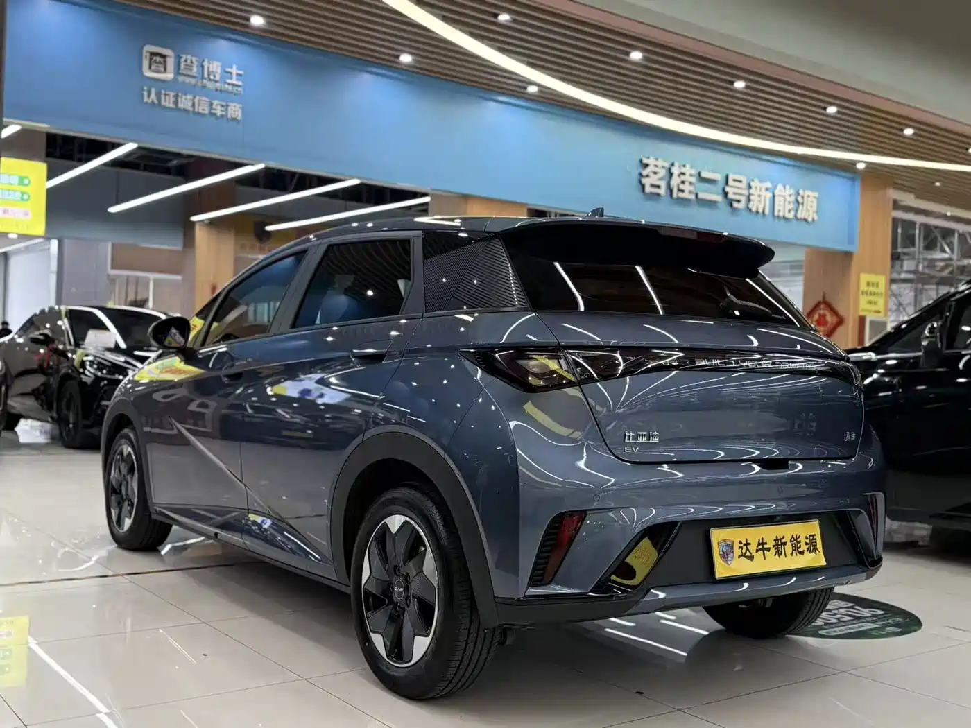 2026 BYD Dolphin