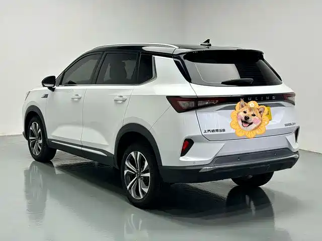Фото 16 - Wuling Motors Wuling Xingchen