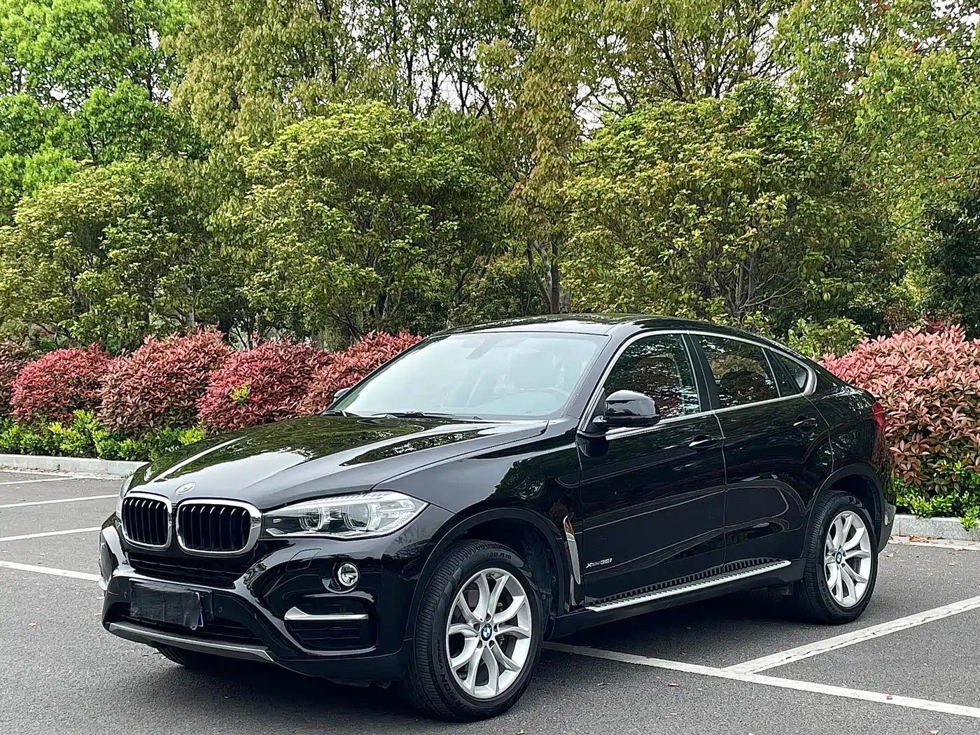 BMW X6 2017 xDrive35i Leading