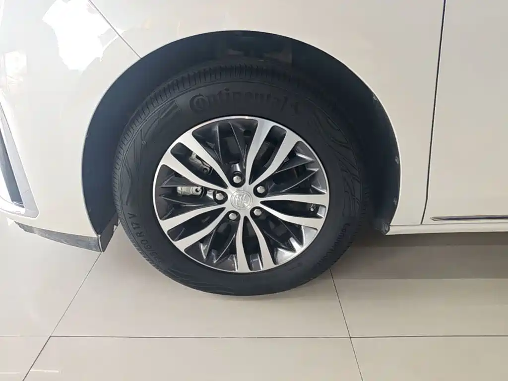 Фото 23 - Buick GL8