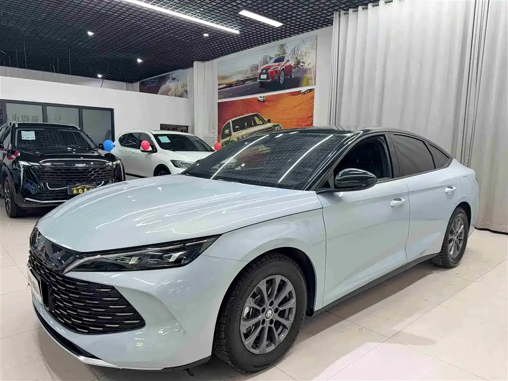 BYD QIN L