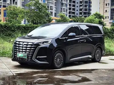 Denza D9