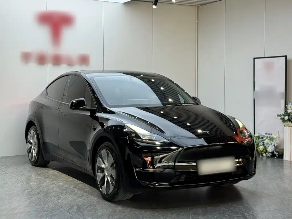 Фото 4 - Tesla Model Y