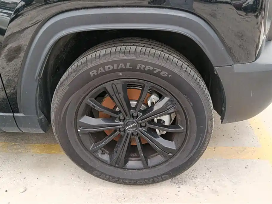 Haval Meng Long NEV 2024 Hi4 102 Pro фото 6