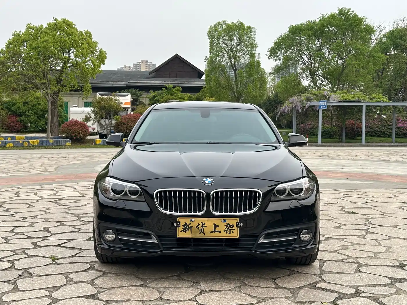 BMW 5 Series 2017 525Li Leading Edition фото 4